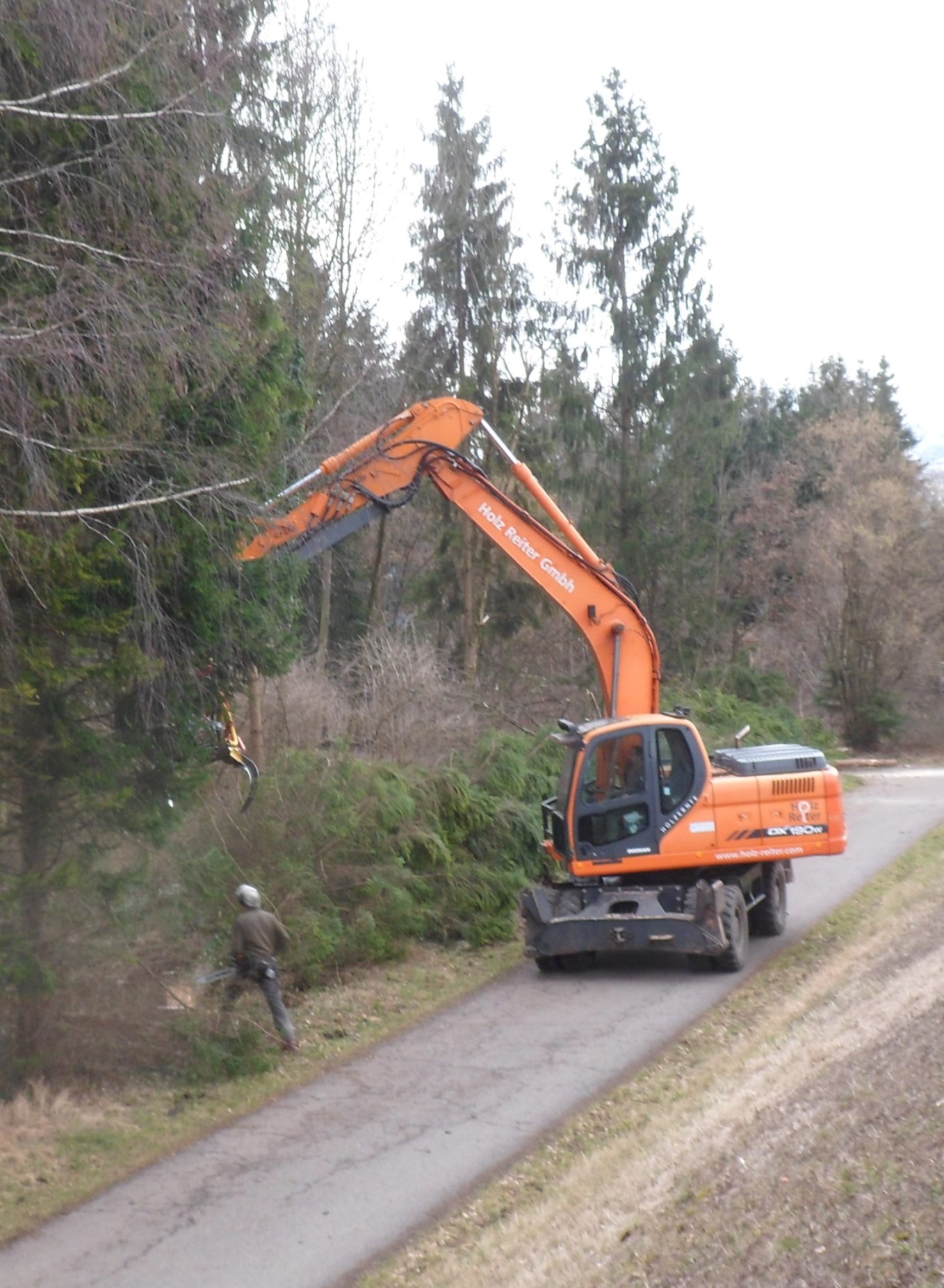 Auwald Bahntrasse 05.jpg