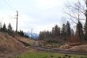 Auwald Bahntrasse 06.jpg