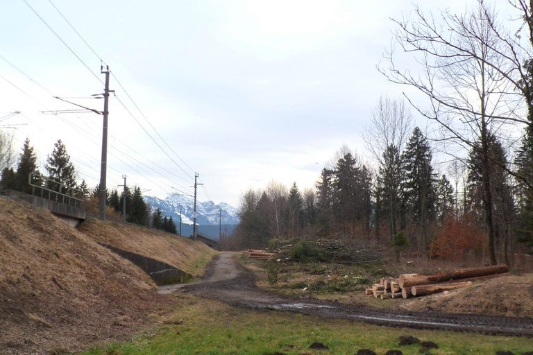 Auwald Bahntrasse 06.jpg