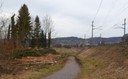 Auwald Bahntrasse 07.jpg