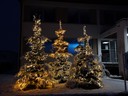Christbäume vor Gemeindeamt3.jpg