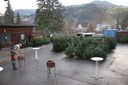 Christbaumausgabe 01.jpg