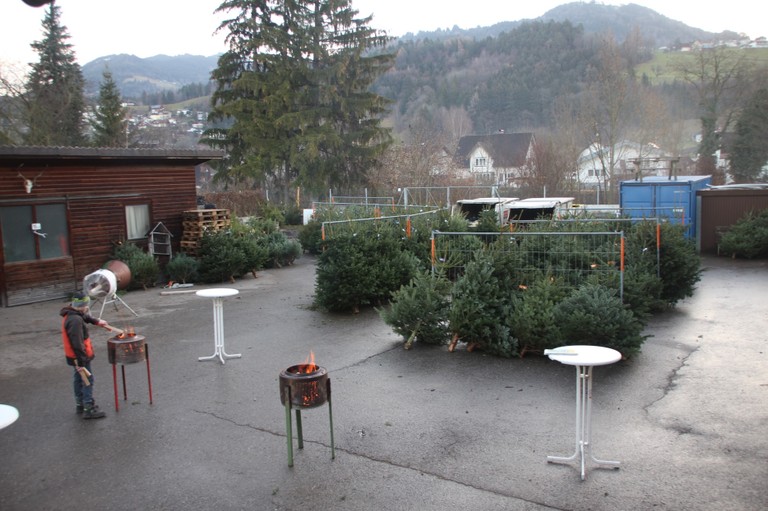 Christbaumausgabe 01.jpg
