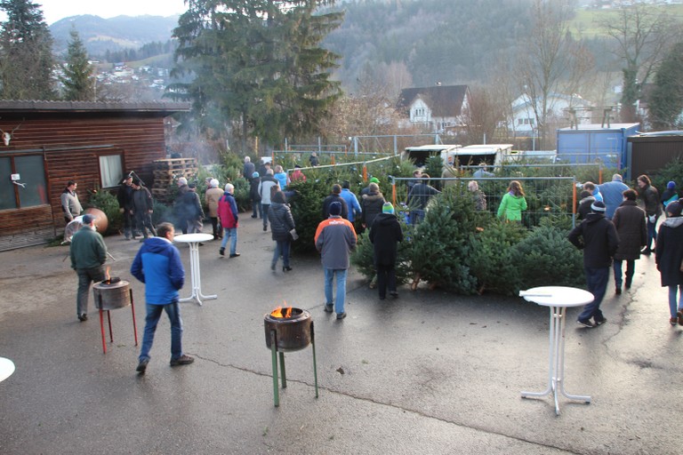 Christbaumausgabe 03.JPG