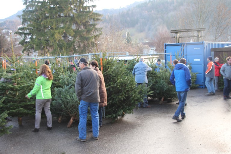 Christbaumausgabe 04.JPG