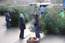 Christbaumausgabe 05.JPG