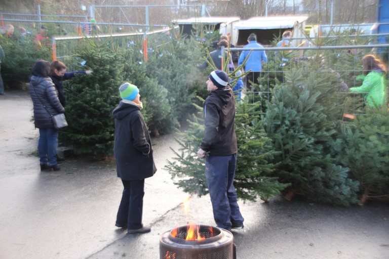 Christbaumausgabe 05.JPG