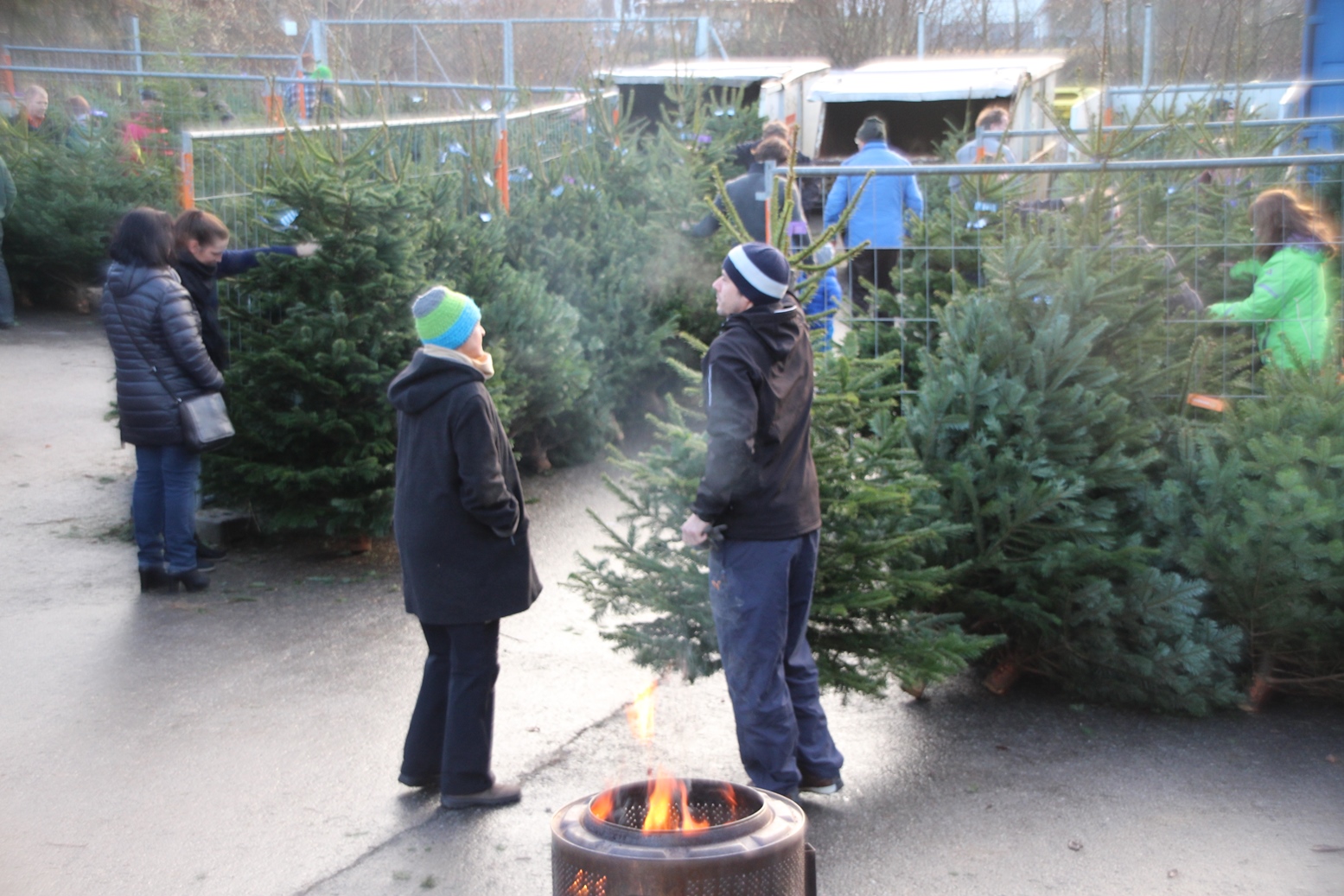 Christbaumausgabe 05.JPG