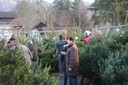 Christbaumausgabe 07.JPG
