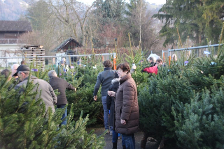 Christbaumausgabe 07.JPG