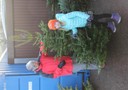 Christbaumausgabe 08.JPG