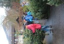 Christbaumausgabe 09.JPG