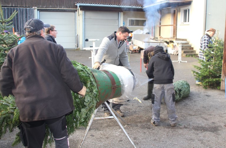 Christbaumausgabe 11.JPG