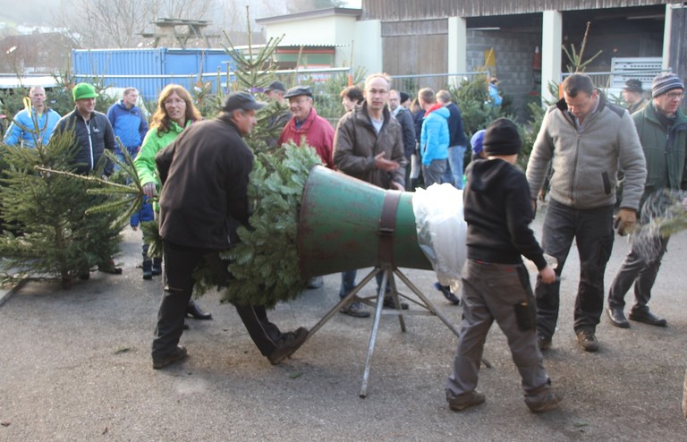 Christbaumausgabe 13.JPG