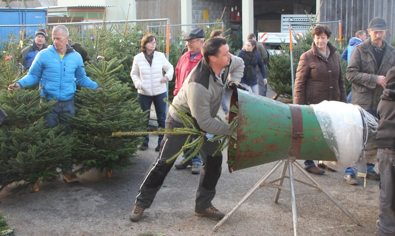 Christbaumausgabe 14.JPG