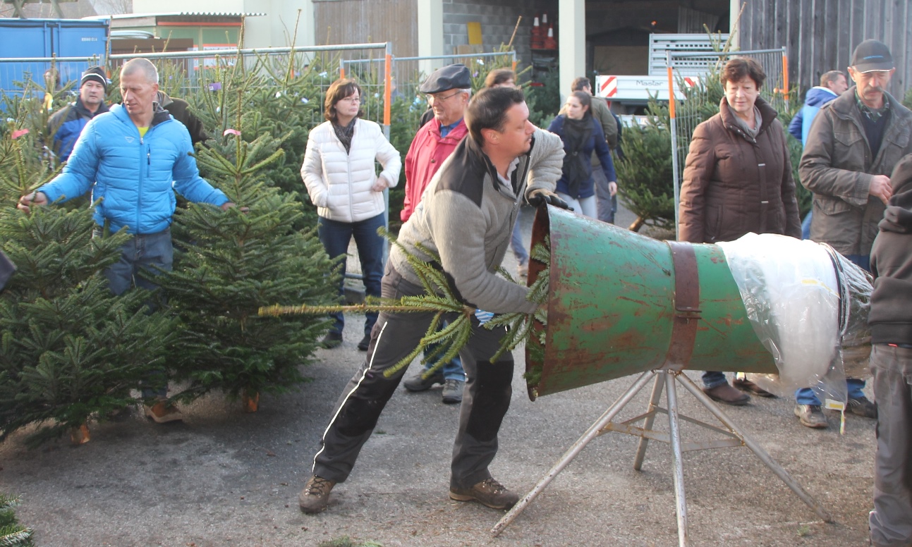 Christbaumausgabe 14.JPG