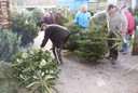 Christbaumausgabe 15.JPG