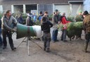 Christbaumausgabe 16.JPG