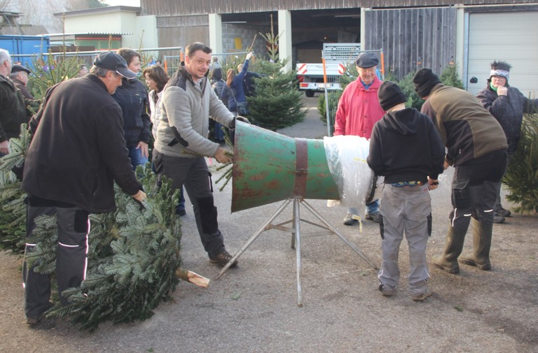 Christbaumausgabe 17.JPG