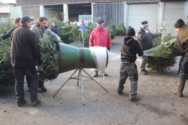Christbaumausgabe 18.JPG