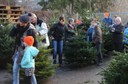 Christbaumausgabe 19.JPG