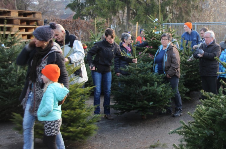 Christbaumausgabe 19.JPG