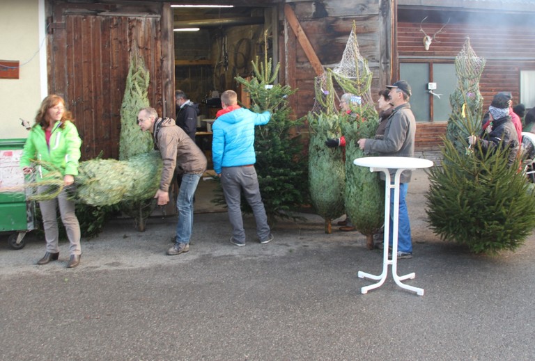 Christbaumausgabe 21.JPG