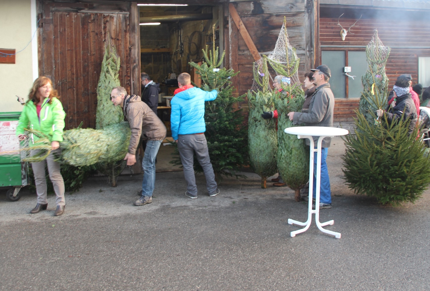 Christbaumausgabe 21.JPG