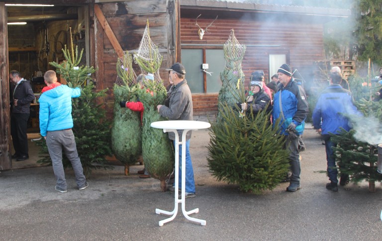 Christbaumausgabe 22.JPG