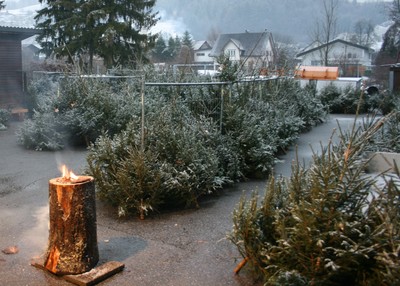 Christbaumverkauf.JPG