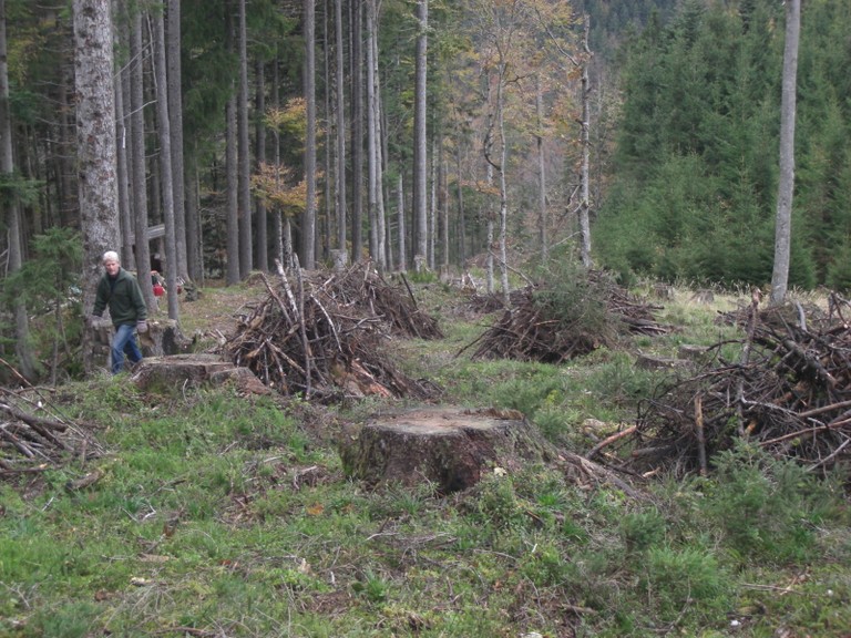 CIMG2121.JPG
