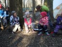 Da Funka im Wald jo der isch hüt ....JPG