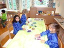DSC00065.jpg