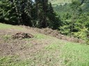 DSC01977_Räumung_Metzgers_Gütle Kopie.JPG
