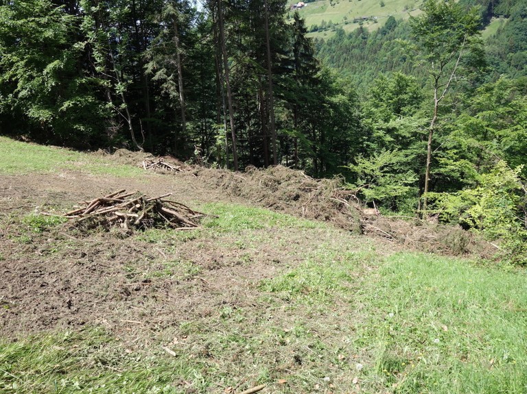 DSC01977_Räumung_Metzgers_Gütle Kopie.JPG