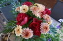 DSC03913.JPG