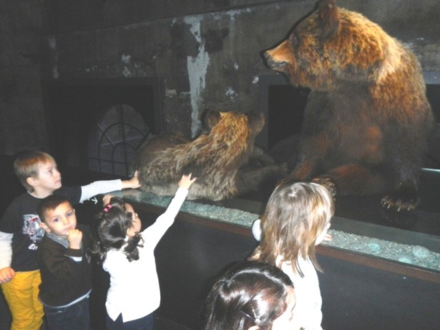 DSCN3071.JPG