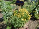 DSCN6652.JPG