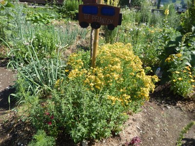 DSCN6652.JPG
