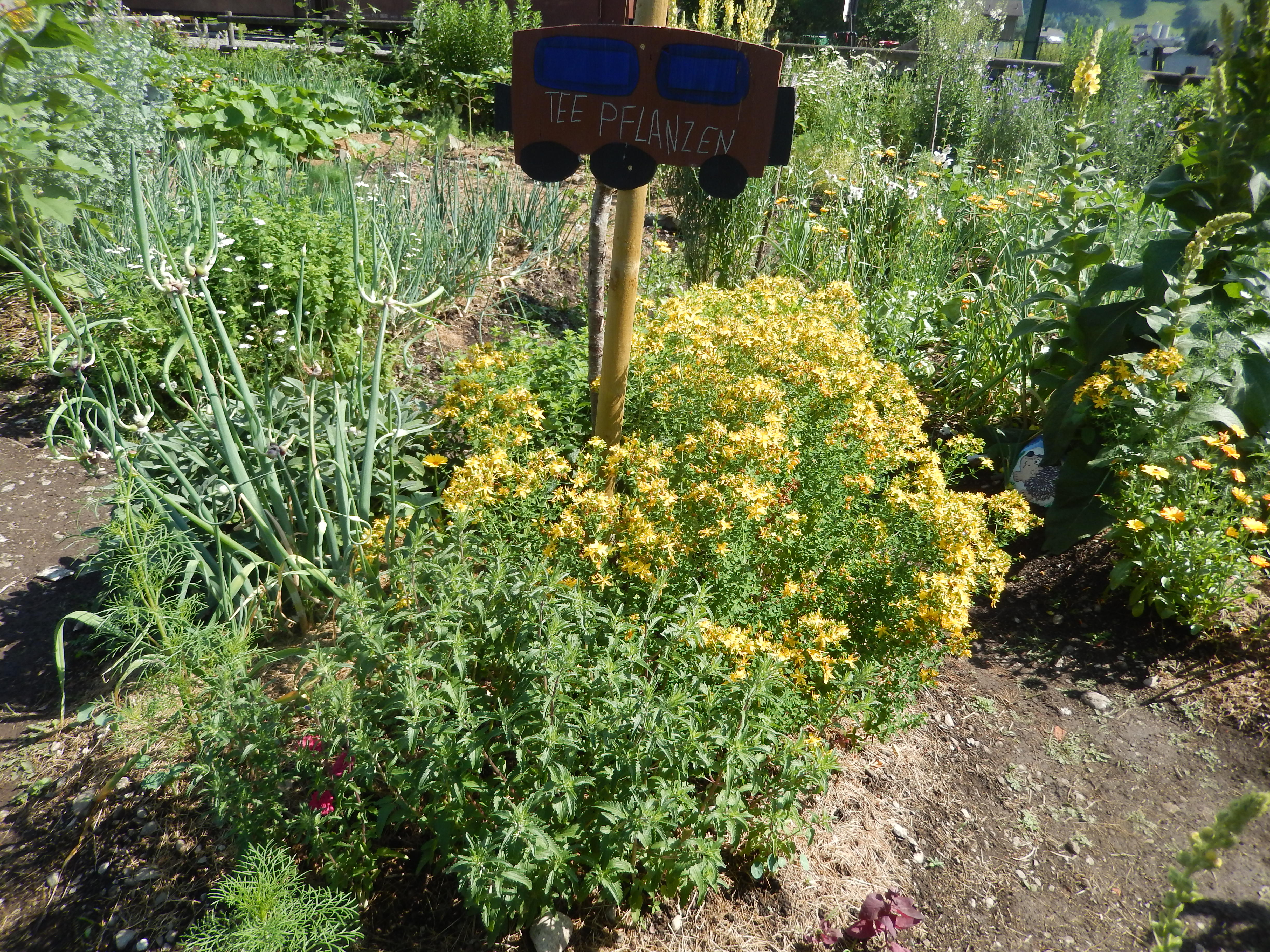 DSCN6652.JPG