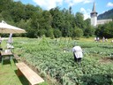 DSCN6658.JPG