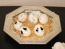 Frühlingsausstellung 103.jpg