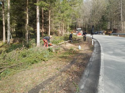 Funkenholz rüsten 01.jpg