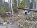Funkenholz rüsten 03.jpg