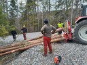 Funkenholz rüsten 04.jpg
