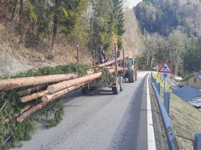 Funkenholz rüsten 05.jpg