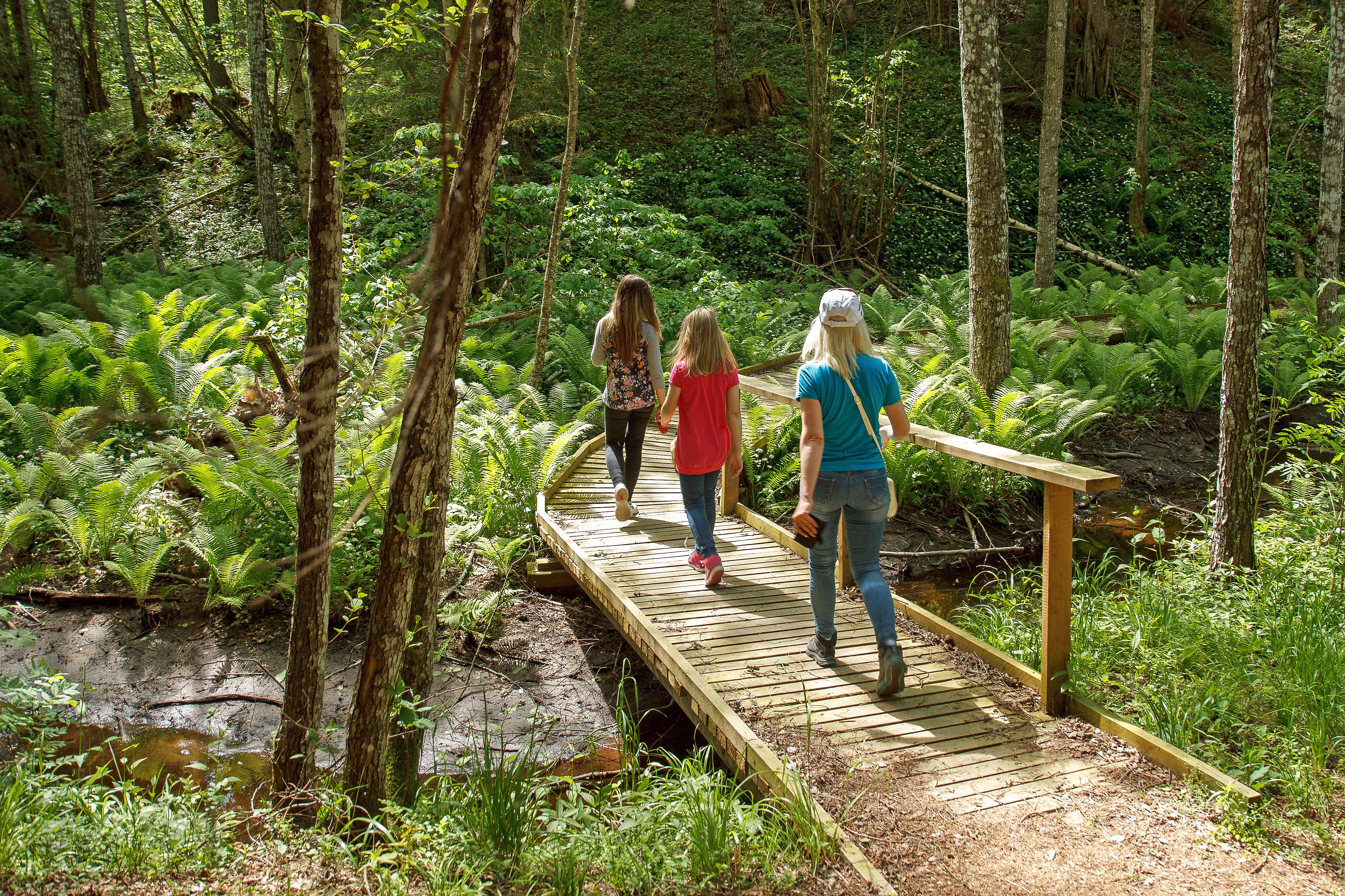 im wald wandern_Aigars Reinholds_shutterstock.jpg