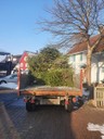 IMG-20220115-WA0012.jpg