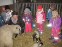 IMG_0075.JPG