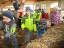 IMG_0123.JPG